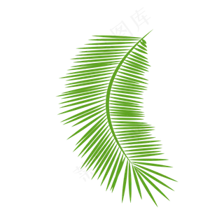 一片弯曲的绿色针尖叶子设计