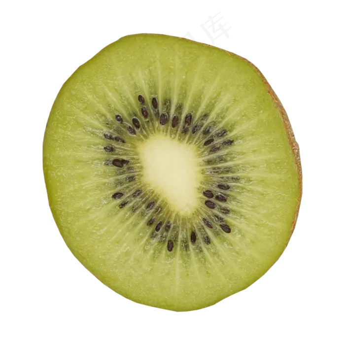 圆形切片猕猴桃(2000X2000(DPI:300))