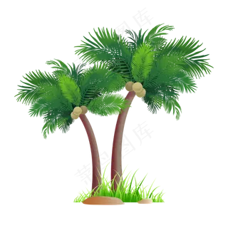 绿色椰子树,免抠元素