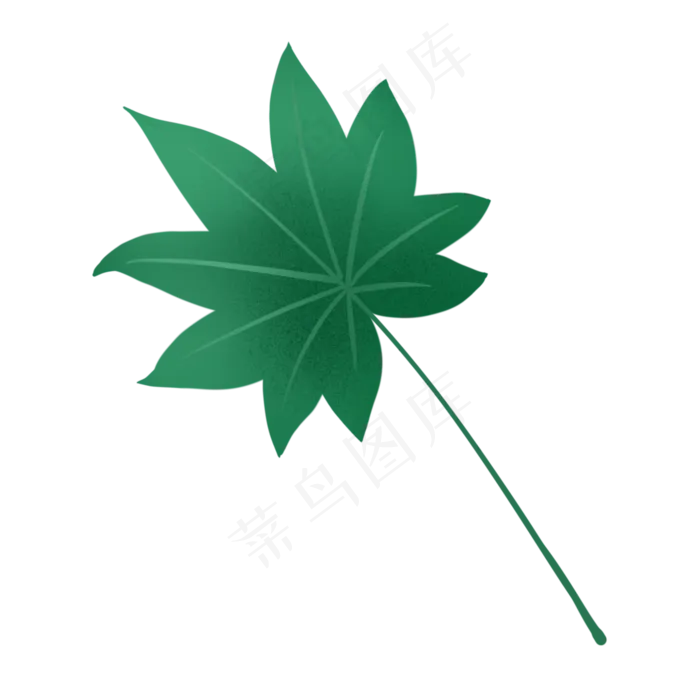 小清新手绘绿植八角金盘叶子(2000X2000(DPI:300))psd模版下载