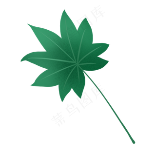 小清新手绘绿植八角金盘叶子