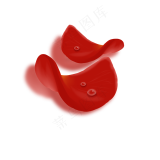 免扣的带水珠的玫瑰花瓣