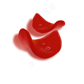 免扣的带水珠的玫瑰花瓣