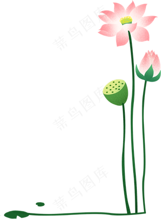 荷花边框手绘免扣