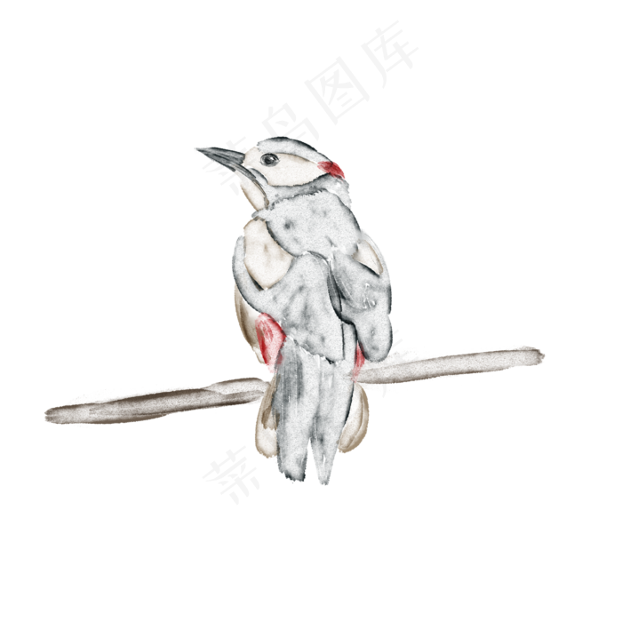 手绘水彩停在枝头的啄木鸟