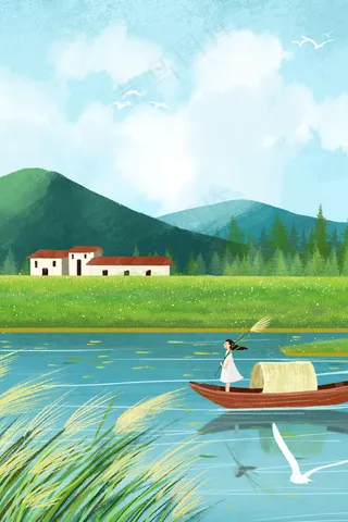 白露节气江边芦苇风景