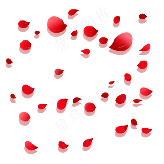 花瓣 花瓣