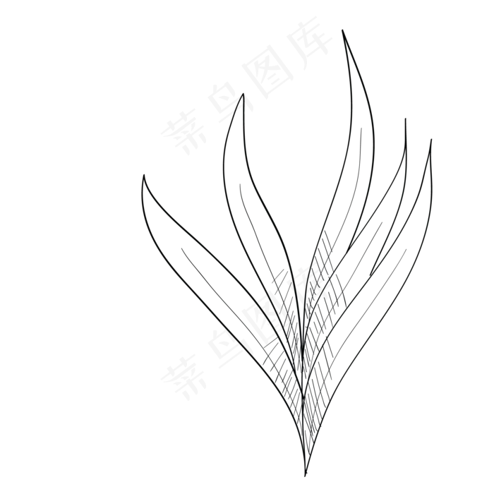 卡通铅笔画君子兰叶子(2083X2083(DPI:300))psd模版下载