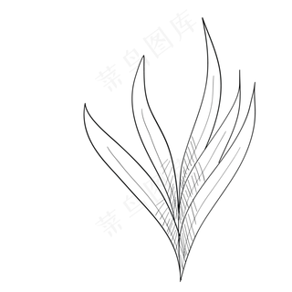 卡通铅笔画君子兰叶子