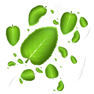 漂浮飘落的薄荷叶素材,免抠元素