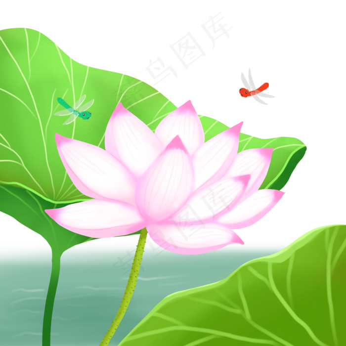 荷花荷叶荷塘景色蜻蜓(2000X2000(DPI:300))psd模版下载