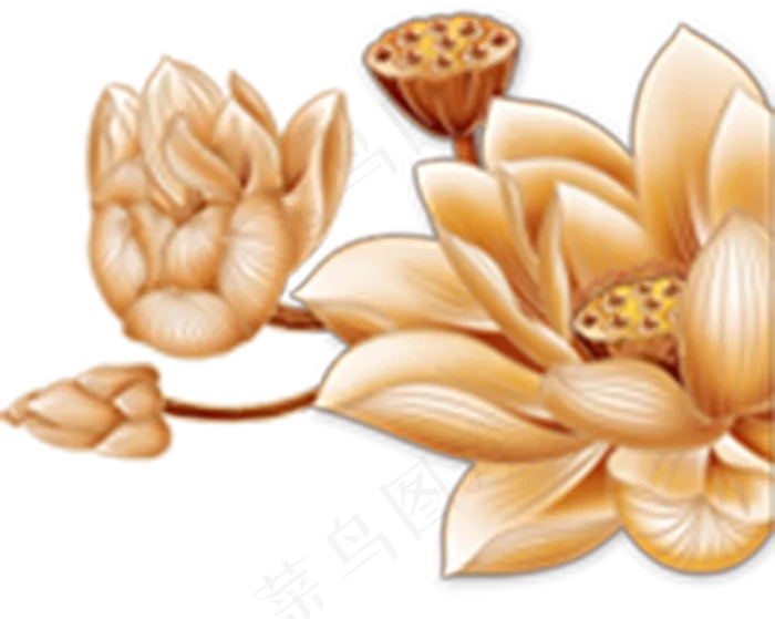 荷花莲藕(800X639(DPI:300))psd模版下载