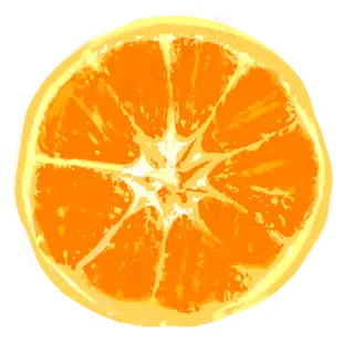 桔子卡通装饰画大自然清新味道