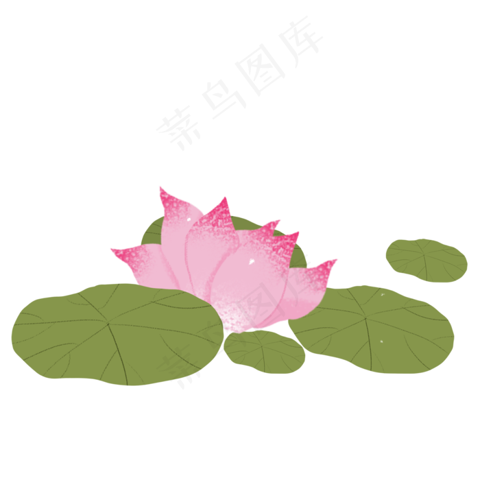 荷花荷叶png素材(2000X2000(DPI:300))psd模版下载