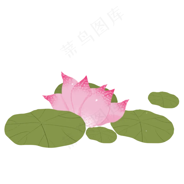 荷花荷叶png素材(2000X2000(DPI:300))psd模版下载