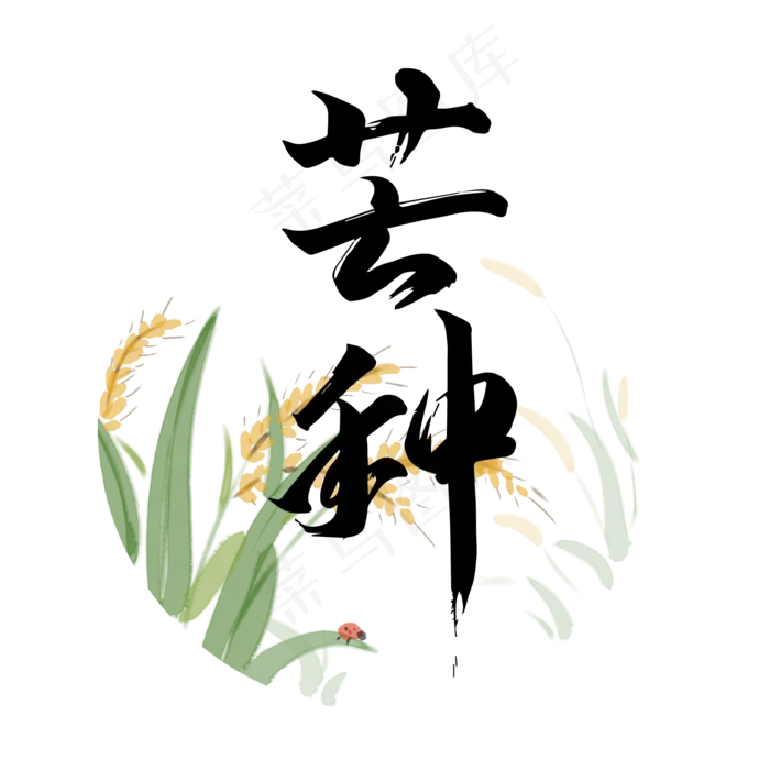 二十四节气之芒种ai矢量模版下载