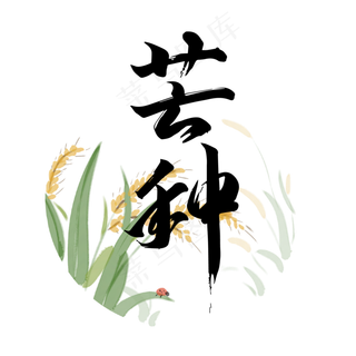 二十四节气之芒种