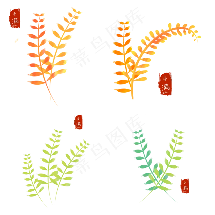 二十四节气小满麦子(2000X2000(DPI:300))psd模版下载