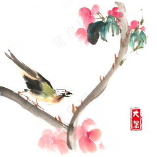 大暑红花与小鸟