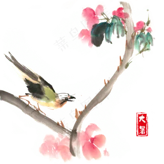 大暑红花与小鸟