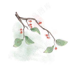 中国风水彩水墨红色樱桃
