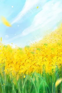 二十四节气春天油菜花田花海