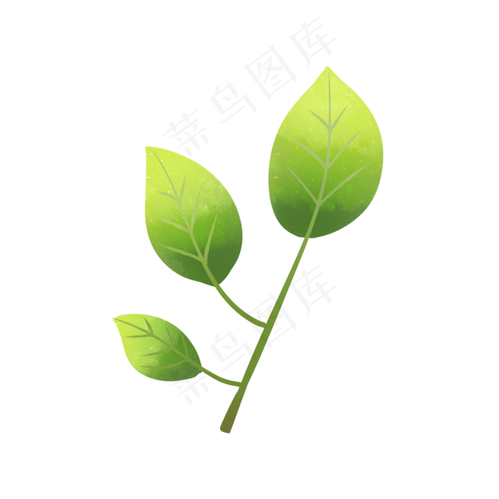 绿色植物叶子透明底免抠