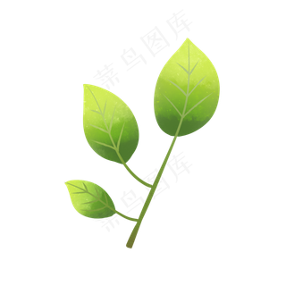 绿色植物叶子透明底免抠