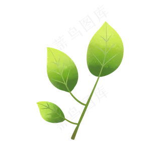 绿色植物叶子透明底免抠