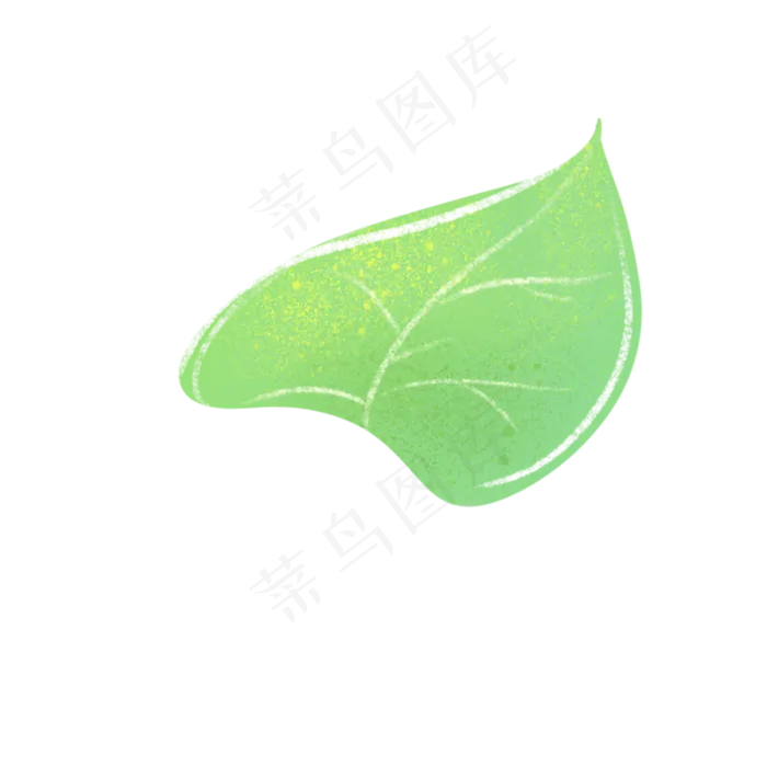 绿色植物叶子(2000X2000(DPI:300))psd模版下载