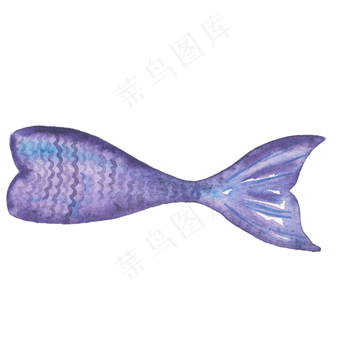 卡通水彩美人鱼鱼鳍