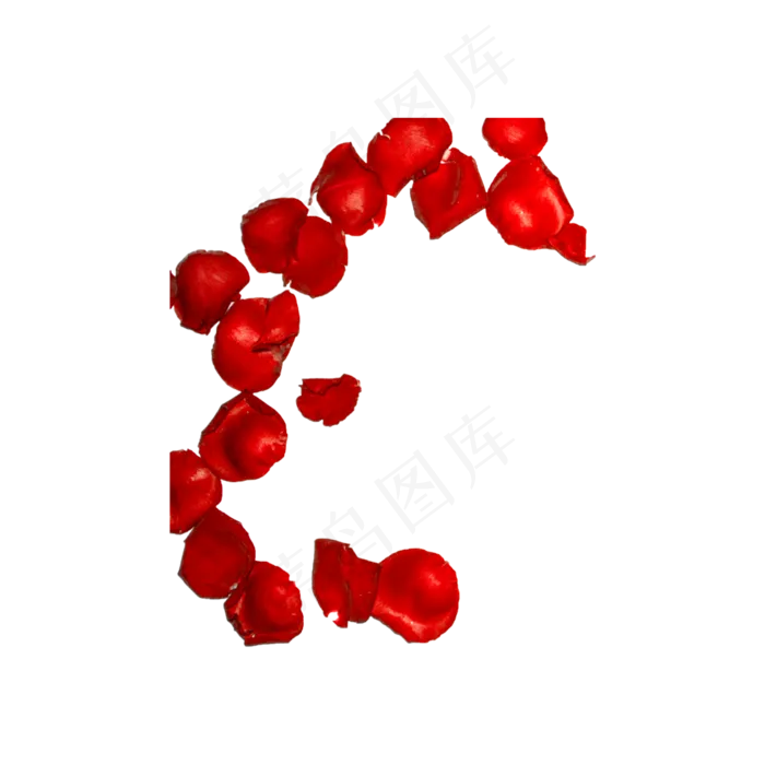 玫瑰花瓣（png免抠）(2000X2000(DPI:72))psd模版下载