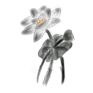 黑白水墨荷花荷叶免抠图