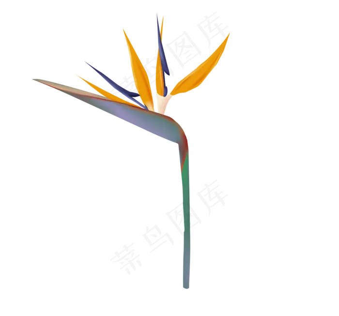 矢量手绘树叶(1767X1649(DPI:299))psd模版下载