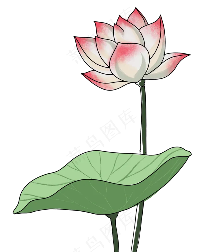 荷花荷叶(1352X1676(DPI:300))psd模版下载