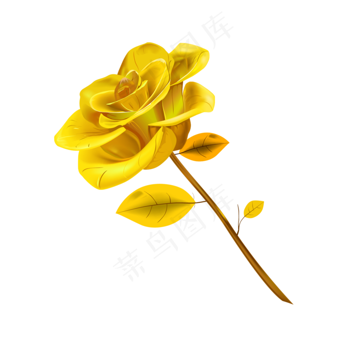 玫瑰花情人节礼物(2000X2000(DPI:299))psd模版下载