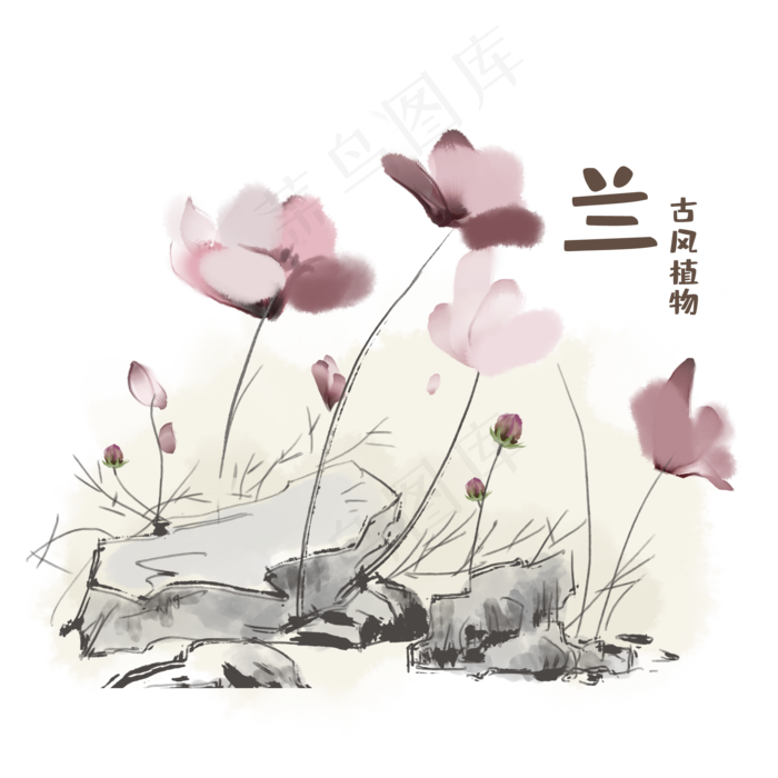 古风植物兰花素材,免抠元素(2000X2000(DPI:300))psd模版下载