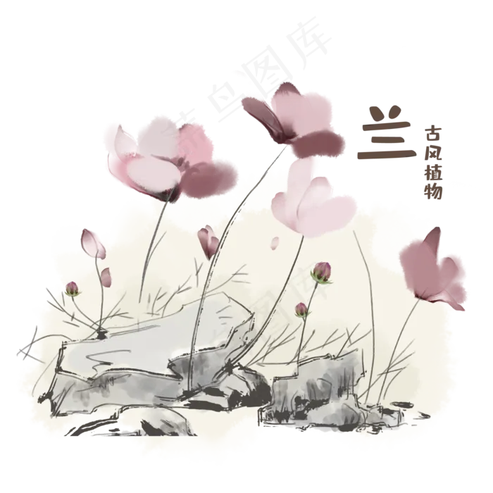 古风植物兰花素材,免抠元素(2000X2000(DPI:300))psd模版下载