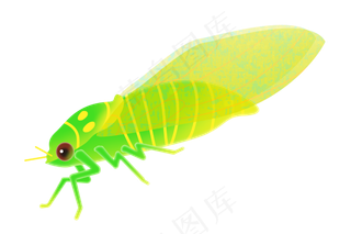 黄色春季蝉