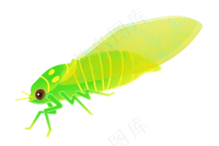 黄色春季蝉