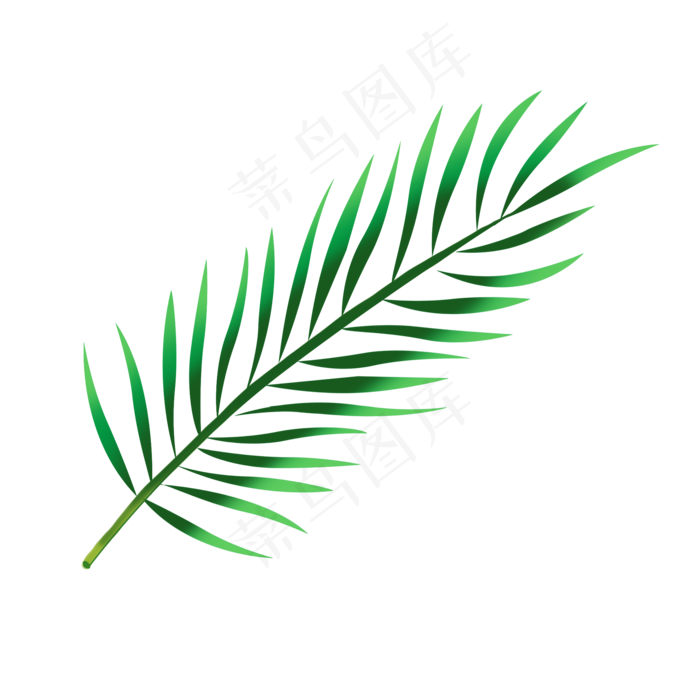绿色矢量棕榈叶图(2000*2000px 72 dpi )psd模版下载