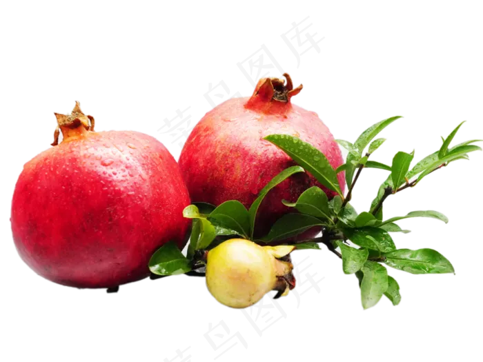 成熟石榴水果(3000X3000(DPI:300))