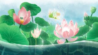 大暑夏季荷塘小清新荷花池边仙女小暑夏风景