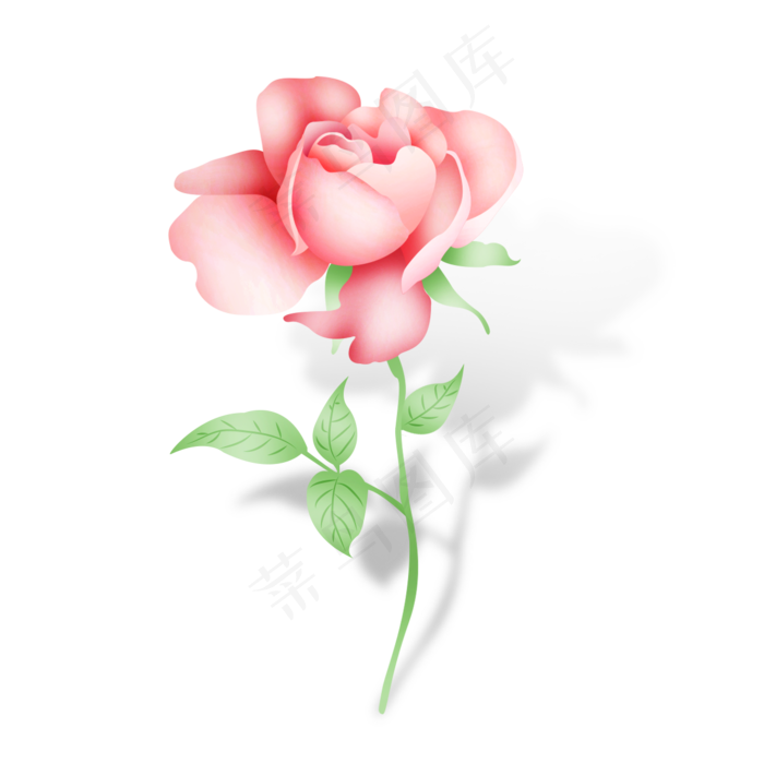 小清新手绘矢量粉玫瑰花一支(1181X1181(DPI:150))psd模版下载