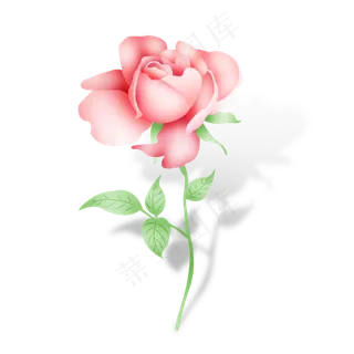小清新手绘矢量粉玫瑰花一支