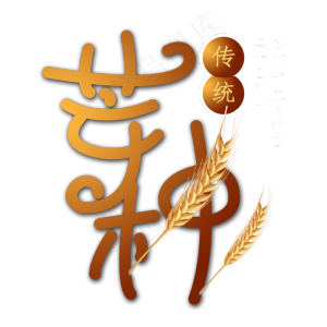 芒种小麦字体PNG