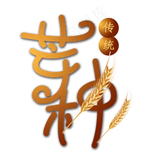 芒种小麦字体PNG