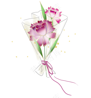 母亲节紫色康乃馨