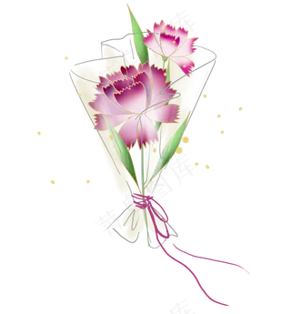 母亲节紫色康乃馨