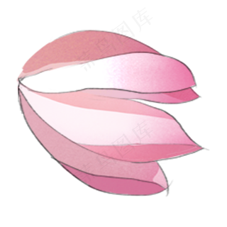 夏天夏日夏荷唯美自然粉色好看清